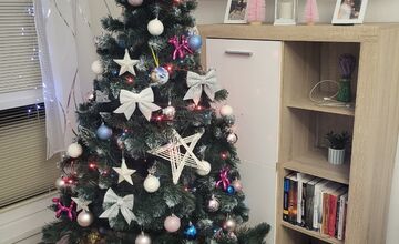 FOTO: Vianočné stromčeky našich čitateľov