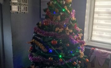 FOTO: Vianočné stromčeky našich čitateľov