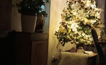 FOTO: Vianočné stromčeky našich čitateľov