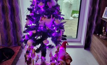 FOTO: Vianočné stromčeky našich čitateľov