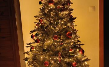 FOTO: Vianočné stromčeky našich čitateľov