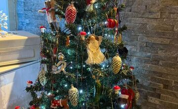 FOTO: Vianočné stromčeky našich čitateľov