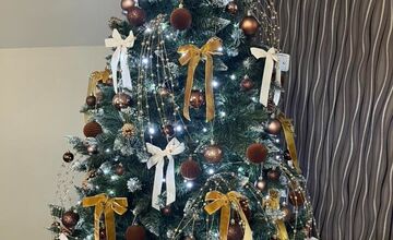 FOTO: Vianočné stromčeky našich čitateľov