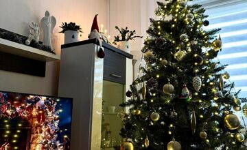 FOTO: Vianočné stromčeky našich čitateľov