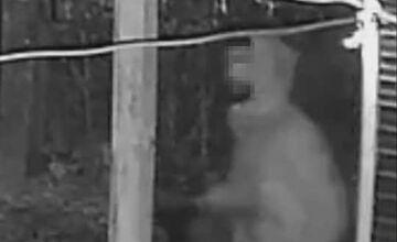 FOTO: Pri Košiciach sa aj počas sviatkov kradlo, zlodej sa ulakomil na bicykel