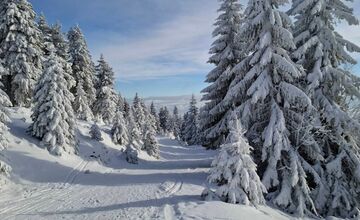FOTO: Najkrajšie zimné scenérie, aké Slovensko ponúka