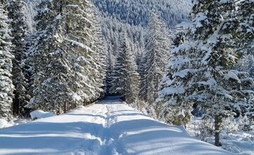 FOTO: Najkrajšie zimné scenérie, aké Slovensko ponúka