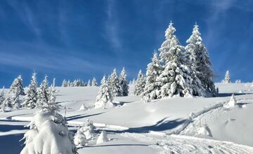FOTO: Najkrajšie zimné scenérie, aké Slovensko ponúka