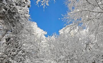 FOTO: Najkrajšie zimné scenérie, aké Slovensko ponúka
