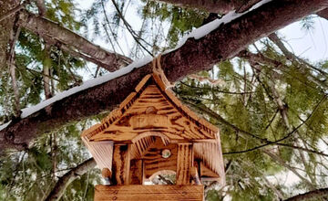 FOTO: Na košickom Sídlisku Ťahanovce pribudli drevené kŕmidlá pre vtáčiky