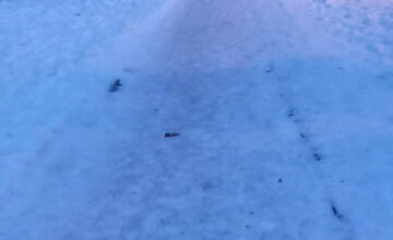 FOTO: Košickí Južania upozorňujú na nebezpečné chodníky