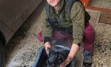 FOTO: Zásah rožňavských hasičov zachránil šteniatko vlčiaka