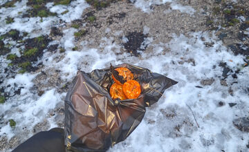 FOTO: Psíčkari na košickom Juhu sú v pozore, dôvodom sú návnady