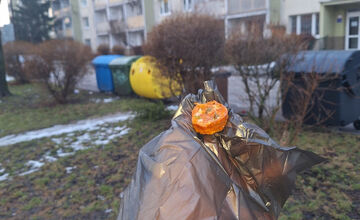 FOTO: Psíčkari na košickom Juhu sú v pozore, dôvodom sú návnady