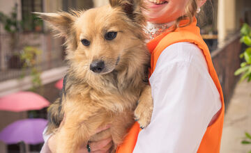 FOTO: Bratislavčanka Miša prichádza do Košíc, čo tu nájde?