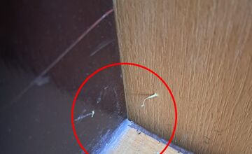 FOTO: Rôzne taktiky zlodejov pri pokuse o vlámanie sa do bytu