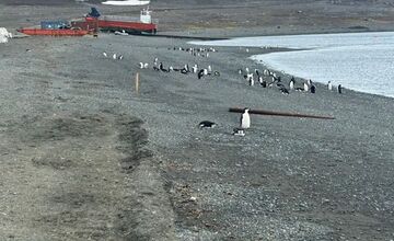 FOTO: Košický vedec na expedícii na Antarktíde