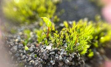FOTO: Košický vedec na expedícii na Antarktíde