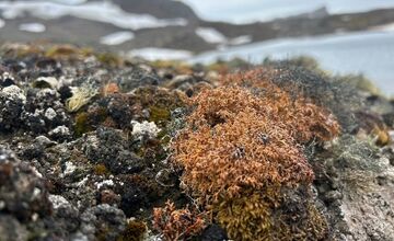 FOTO: Košický vedec na expedícii na Antarktíde