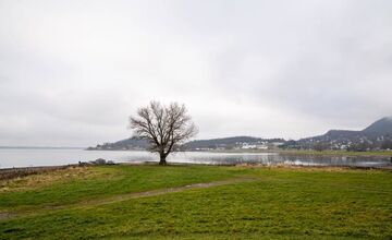 FOTO: Promenáda na Šírave