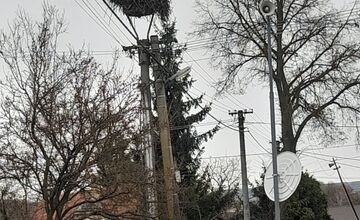 FOTO: Prvé bociany v Košickom kraji