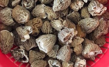 FOTO: Hubári sa podelili o svoje prvé úlovky - smrčky