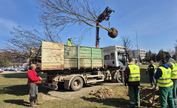 FOTO: Košice opäť kvitnú do mnohých farieb