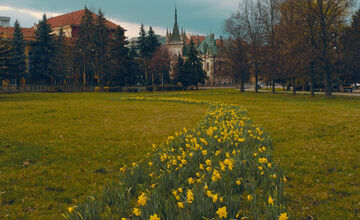 FOTO: Košice opäť kvitnú do mnohých farieb