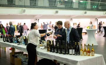 FOTO: Nevinne o víne v Košiciach