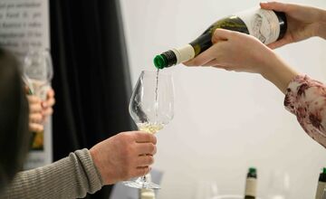 FOTO: Nevinne o víne v Košiciach