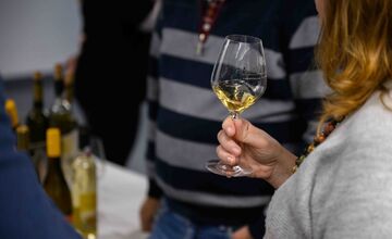 FOTO: Nevinne o víne v Košiciach