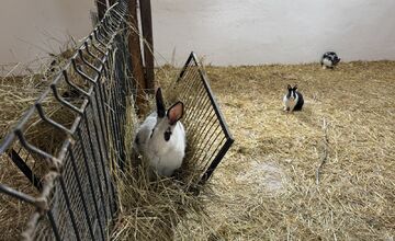 FOTO: V Nováčanoch otvorili Biofarmu