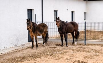 FOTO: V Nováčanoch otvorili Biofarmu