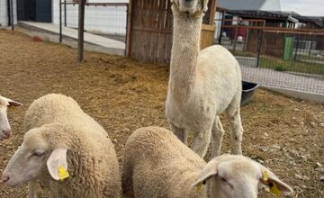 FOTO: V Nováčanoch otvorili Biofarmu