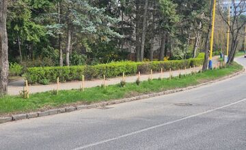 FOTO: Na košickom sídlisku niekto vysadil stromčeky