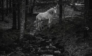 FOTO: Prvoaprílové žartíky miest a obcí na východe Slovenska