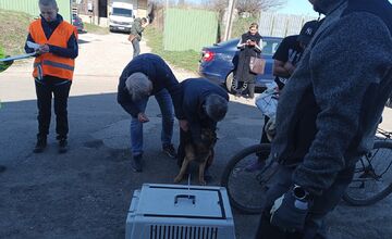 FOTO: V ďalších osadách na východe Slovenska prebehla kastrácia psov