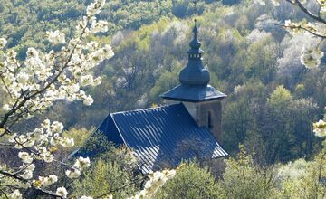 FOTO: Čerešňový raj Brdárka znova rozkvitá