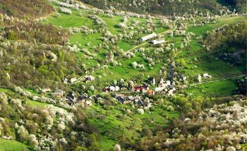 FOTO: Čerešňový raj Brdárka znova rozkvitá