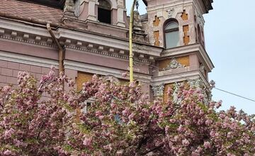 FOTO: Rozkvitnuté sakury v Košiciach vás prenesú do Japonska