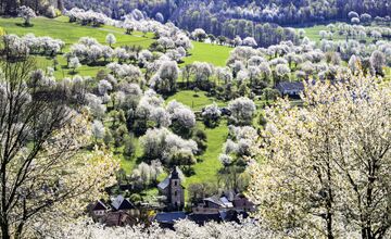 FOTO: Čerešňový raj Brdárka očami fotografa
