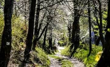 FOTO: Čerešňový raj Brdárka očami fotografa