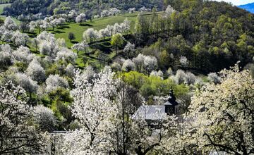FOTO: Čerešňový raj Brdárka očami fotografa