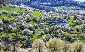 FOTO: Čerešňový raj Brdárka očami fotografa