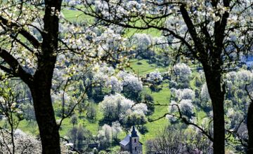 FOTO: Čerešňový raj Brdárka očami fotografa