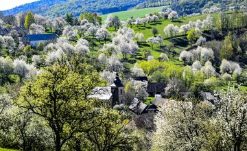 FOTO: Čerešňový raj Brdárka očami fotografa