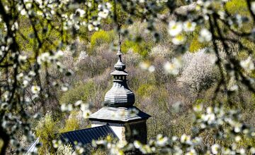 FOTO: Čerešňový raj Brdárka očami fotografa